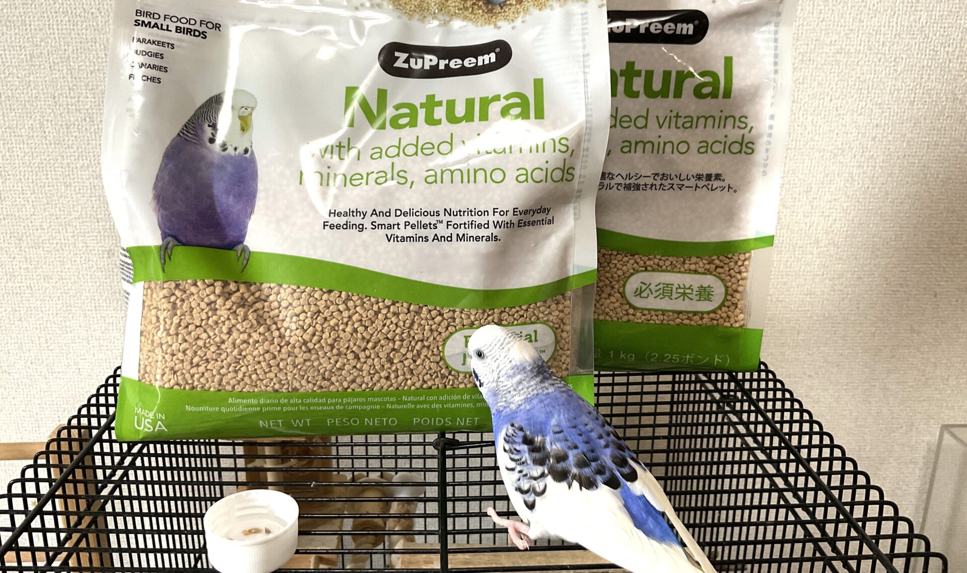 ペレットとインコ