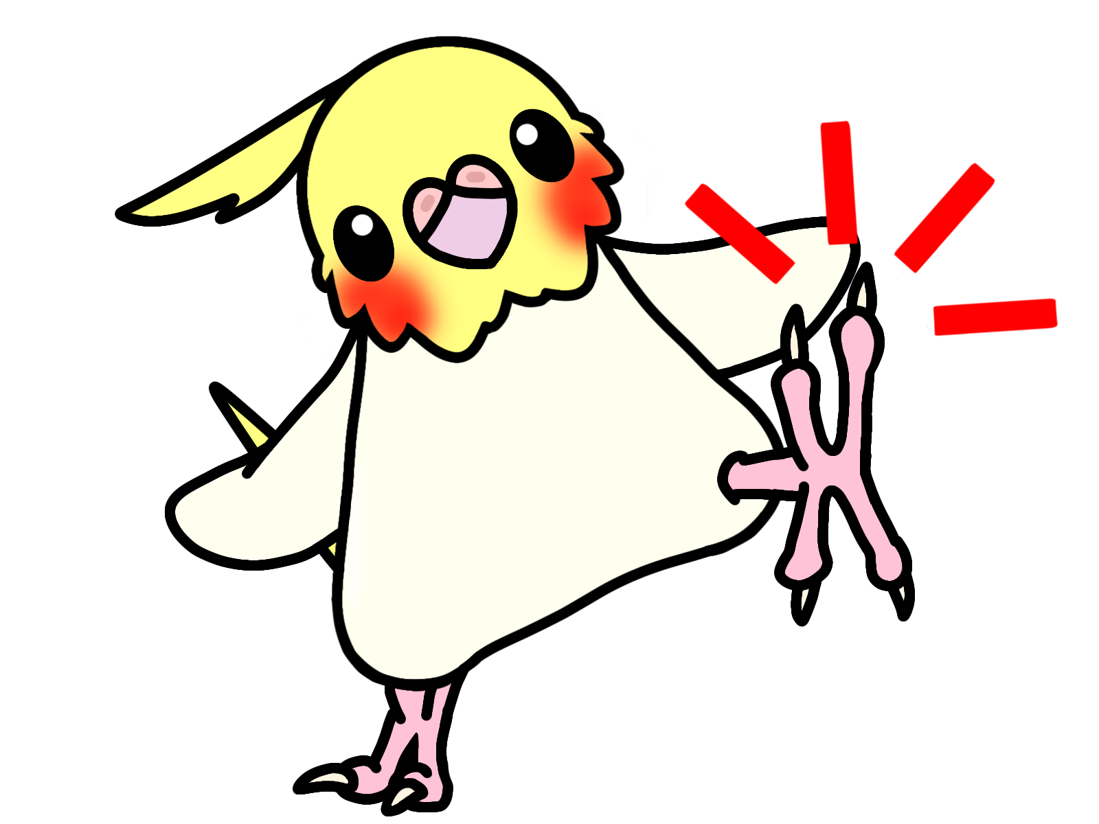 爪が伸びたインコ