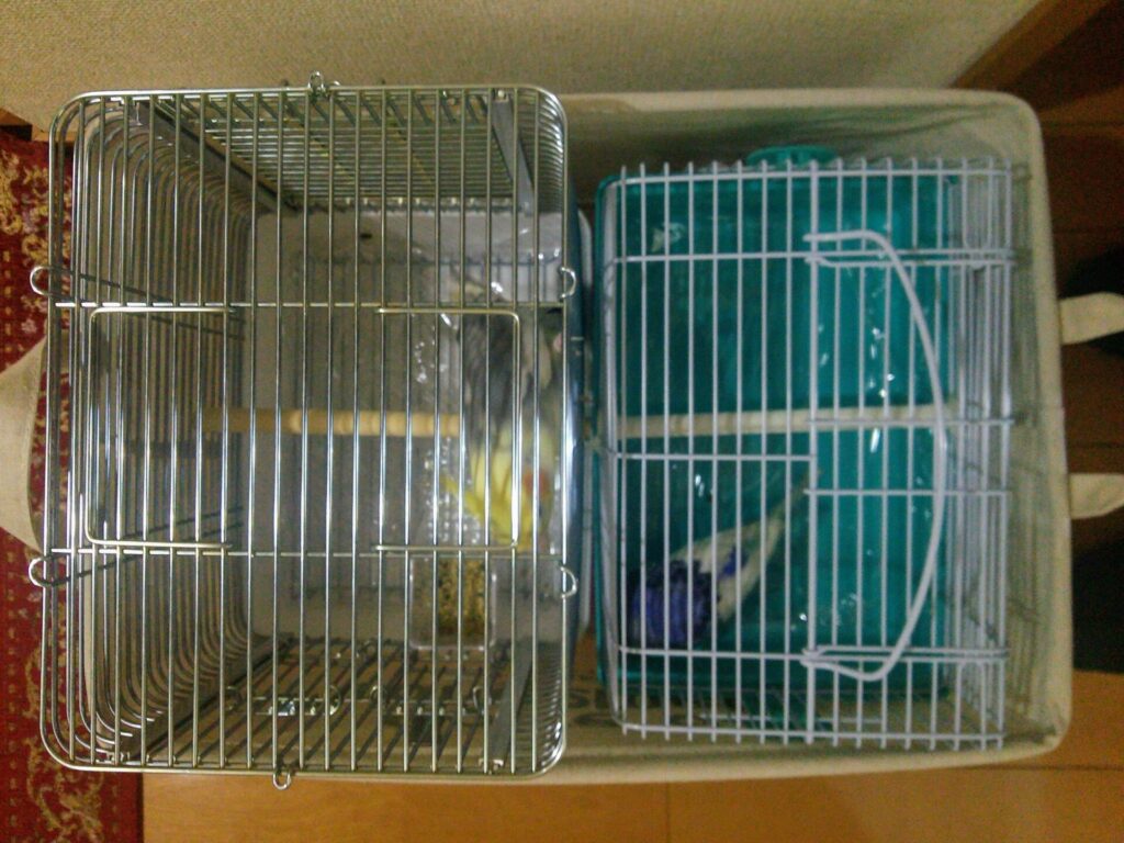 ダイソーの大きな袋に２つのキャリーを入れているところ。