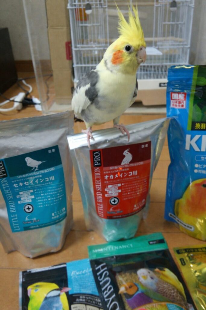 ペレットとオカメインコ